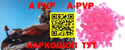 стафф Донской