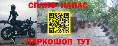 apvp Татарск